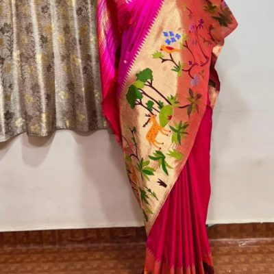 Peacock and Parrot border